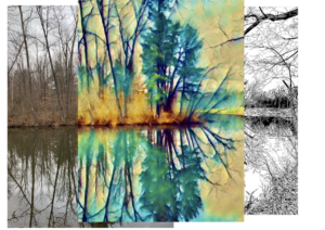 Cover photo for Introduction to Photo Editing Tools